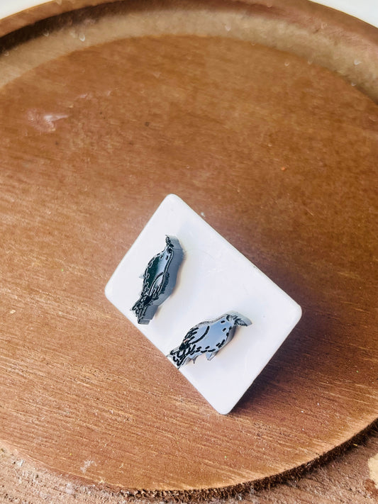 Crow (Stud)